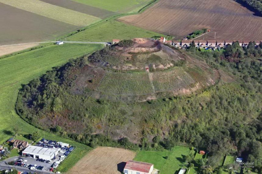 Le vin de terril bientôt commercialisé